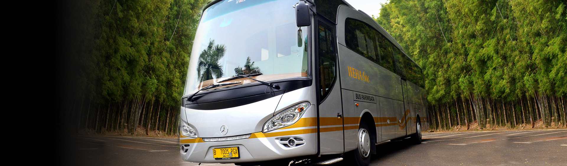 bus pariwisata