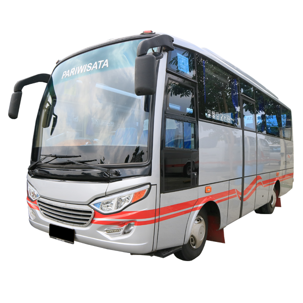 Medium Bus-image